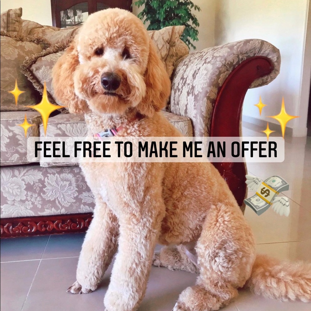 ✨Feel free to make me an offer✨